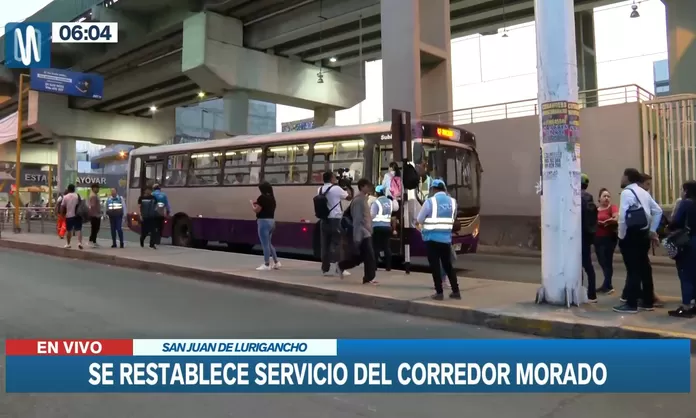 Corredor Morado Restablece Su Servicio De Buses Canal N