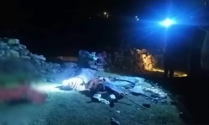 Cusco Cuatro muertos dejó la caída de un camión a un abismo Canal N