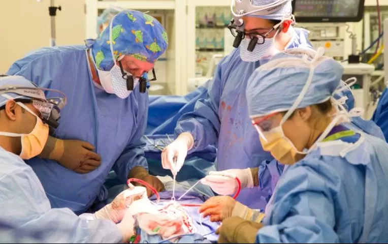 EE.UU.: realizan el primer trasplante de pene y escroto en el mundo | Internacionales