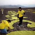 Greenpeace estaría encubriendo a activistas que dañaron Líneas de Nasca