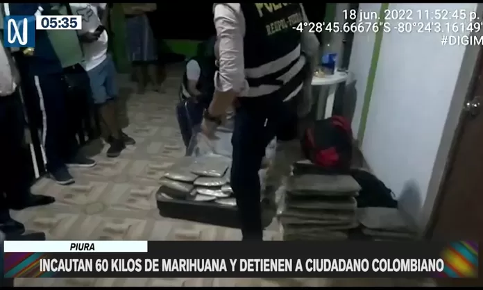 Piura Incautan 60 Kilos De Marihuana Y Detienen A Colombiano Canal N