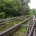 Petroperú denuncia intento de corte del Oleoducto Nor Peruano en Loreto
