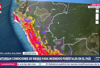 El 98% de los incendios forestales en Perú son provocados por acción humana, informa el Ministerio del Ambiente