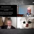 Un abogado entró a audiencia virtual con un filtro de gato