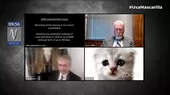 Un abogado entró a audiencia virtual con un filtro de gato - Noticias de gato