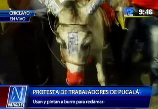 Activistas critican maltrato a burro durante protesta en Chiclayo