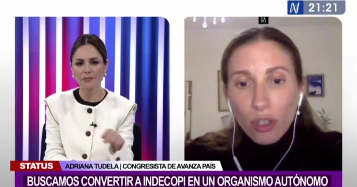 Adriana Tudela: “Proyecto de ley busca convertir a Indecopi en un organismo  autónomo” | Canal N