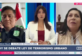 Alcaldes opinan sobre la “ley de terrorismo urbano"