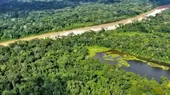 Alianza Empresarial por la Amazonía: "Se busca modelos de negocios que disminuyan la deforestación" - Noticias de deforestacion