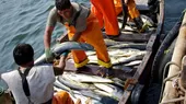 Alianza del Pacífico: Cepal aconseja apoyar la pesca artesanal - Noticias de mineria-artesanal