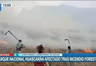 Áncash: Incendio forestal afectó quebrada Llaca en Parque Nacional Huascarán