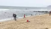 Ancón: Encuentran aves muertas en playa Las Conchitas  - Noticias de playa