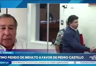 Aníbal Quiroga: El caso de Pedro Castillo no aplica para el indulto, ni para la gracia presidencial