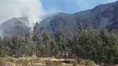 Arequipa: incendio forestal en laderas de cerros de Cabanaconde - Noticias de aumento