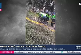 Ate: Hombre muere tras caerle un árbol