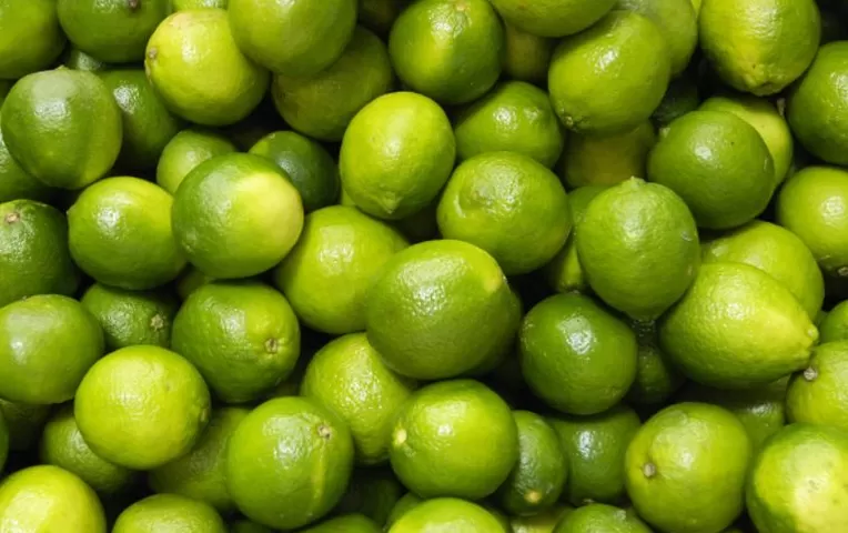 Kilo de limón cuesta más de 9 soles en mercados | Canal N