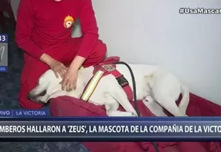 Bomberos hallaron a Zeus, la mascota de la compañía de La Victoria