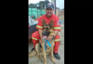 Bomberos del Perú: compañía 9 del Callao reportó la pérdida de can de rescate