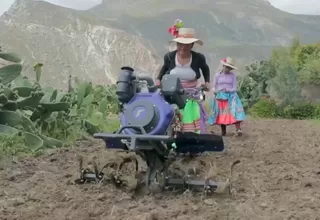 Bonistas agrarios vuelven al TC tras 12 años sin indemnización