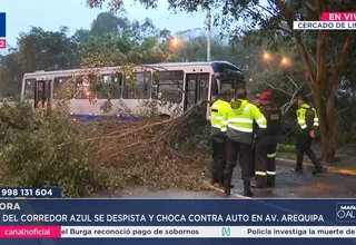 Bus del Corredor Azul choca tras despistarse en la avenida Arequipa