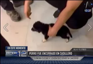 Cachorro encerrado en casillero: habla la joven que grabó el video