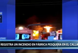 Callao: incendio se desató en empresa pesquera