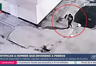 Cámaras captaron a hombre que dejó veneno para perros