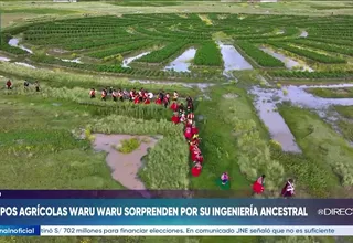 Campos agrícolas Waru Waru sorprenden por su ingeniería ancestral