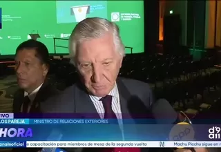 Canciller Carlos Pareja aseguró que el proceso electoral para los peruanos en el extranjero se desarrollará con normalidad