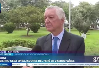 Canciller descarta motivaciones políticas en cese de embajadores y garantiza normalidad en voto en el exterior