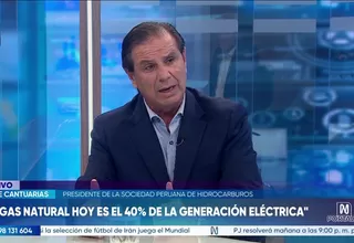 Cantuarias: Comité de crisis debe administrar escasez de gas