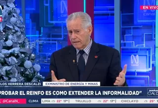 Carlos Herrera Descalzi: Extensión del REINFO sería decisión política