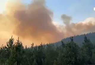 Cerca de 80 hectáreas afectadas por incendio