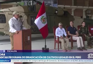 César Astudillo pide mantener la erradicación de cultivos de coca para combatir el narcotráfico