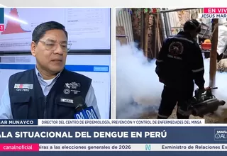 César Munayco: Perú está en una fase endémica del dengue