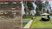 Cieneguilla: Huaico destruyó club campestre inaugurado hace un mes - Noticias de huaico