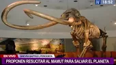 Un grupo de científicos propone resucitar mamuts para salvar el planeta - Noticias de cientificos