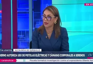 Cinthia Loayza cuestiona norma que autoriza pistolas eléctricas a serenos