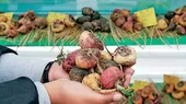 Ciudadanos chinos exportan de manera ilegal maca cultivada en Junín - Noticias de maca