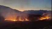 COEN reporta que los incendios forestales en Arequipa, Puno y Huánuco fueron extinguidos - Noticias de coen