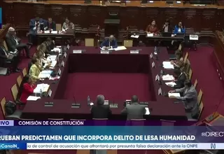 Comisión de Constitución aprobó proyecto de ley que incorpora el delito de lesa humanidad