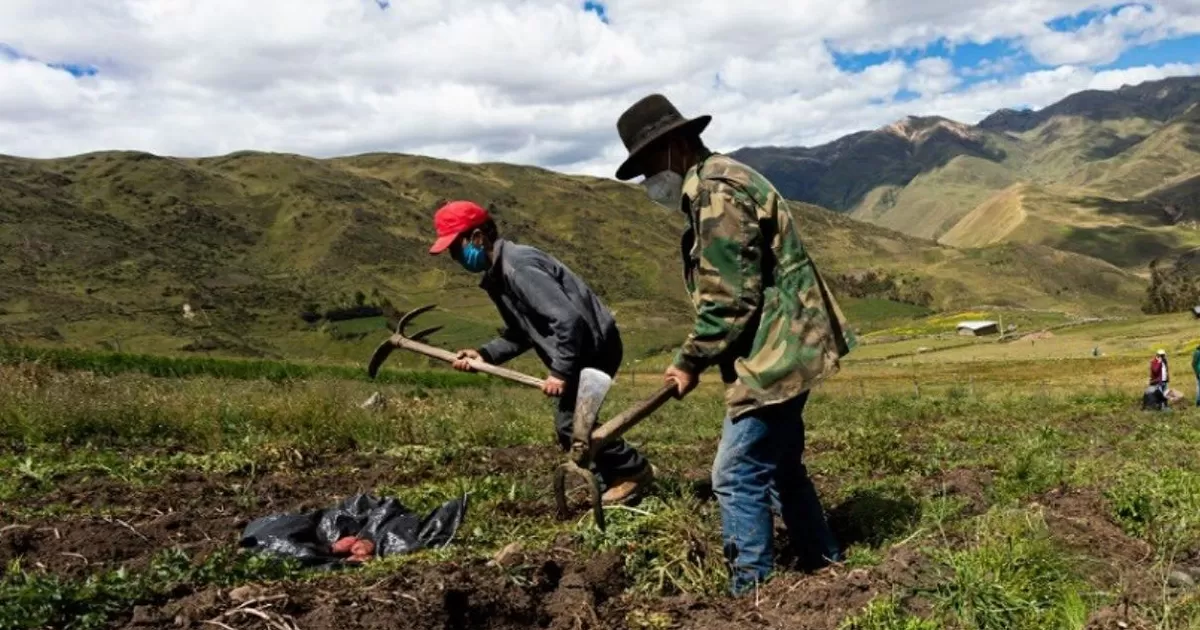 Congresista Yarrow pide a ministro Alencanstre explicaciones por compra de urea