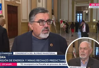 Congresistas opinan tras rechazo del predictamen de la Ley MAPE