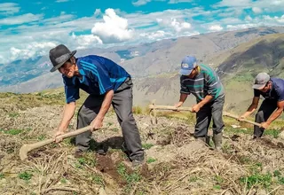 Congreso aprobó crear el Ministerio de Desarrollo Agrario y Riego en reemplazo del Minagri