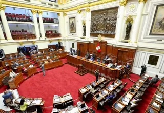 Congreso debate proyectos referidos a la seguridad ciudadana