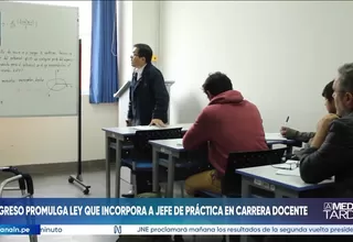 Congreso publica ley que incorpora a jefes de práctica en carrera docente