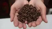 Conoce al ganador del mejor café peruano - Noticias de cafe