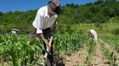 Consejo de Ministros aprobó decreto de urgencia para la compra de fertilizantes  - Noticias de makro