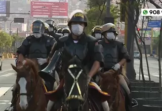 17 caballos y 28 perros de la policía están desaparecidos, según Contraloría 