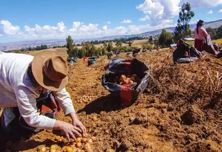 Conveagro: “Necesitamos que el presidente asuma el tema de seguridad alimentaria y productiva”